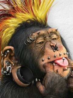 punk_monkey-178338.jpg